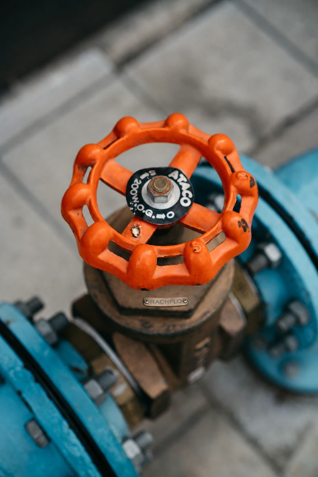 Pipeline valve and flange assembly